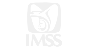 logo-imss